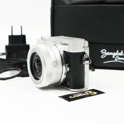 Lumix GF9