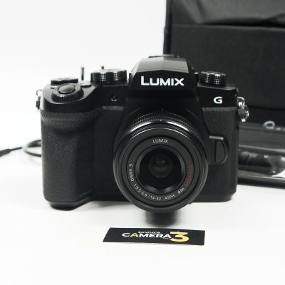 Lumix G90
