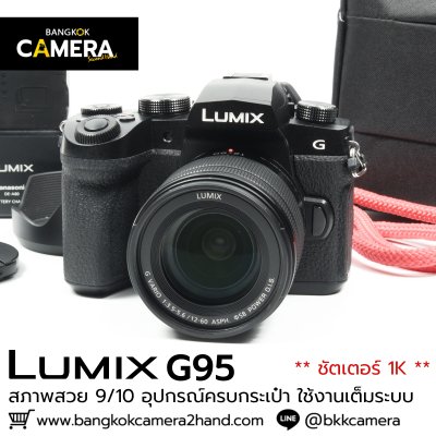 Lumix G95