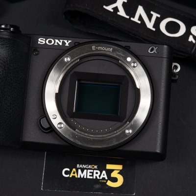 Sony A6600 Body