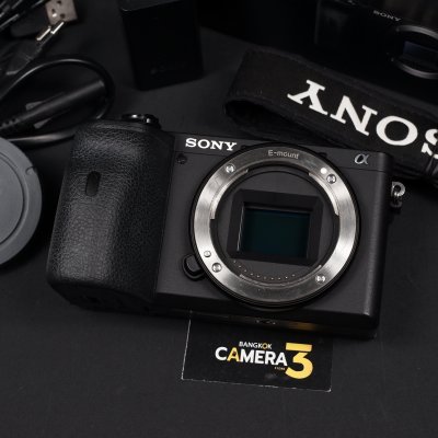 Sony A6600 Body
