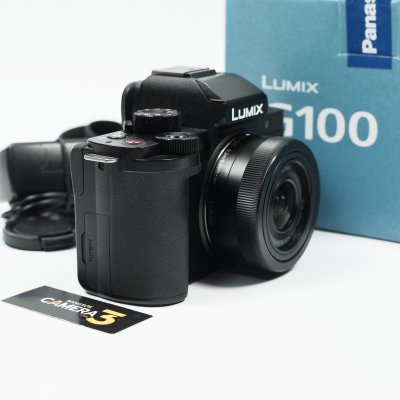 Lumix G100