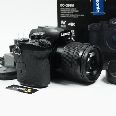 Lumix G95
