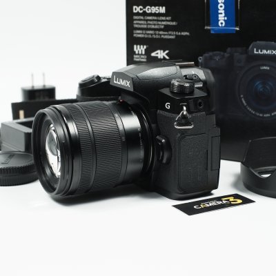 Lumix G95