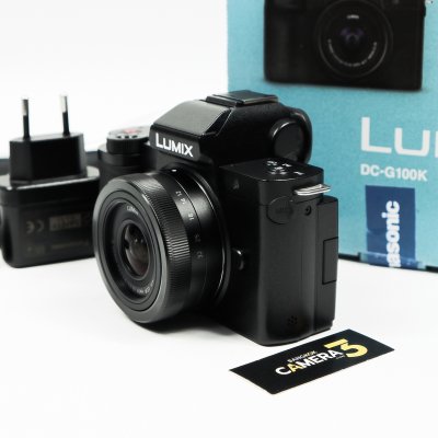 Lumix G100