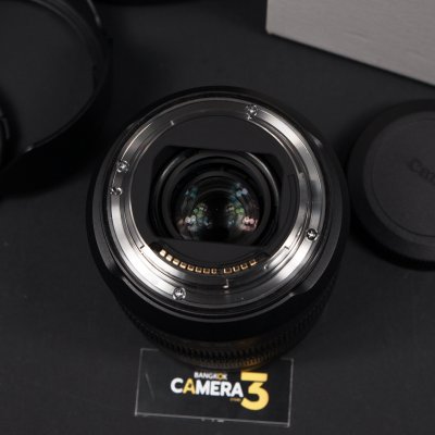 RF24-105mm F4 L IS USM