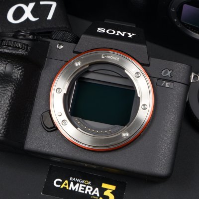 Sony A7III Body