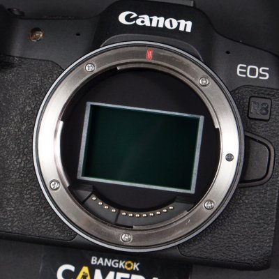 Canon EOS R8 Body