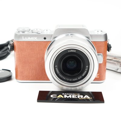 Lumix GF8