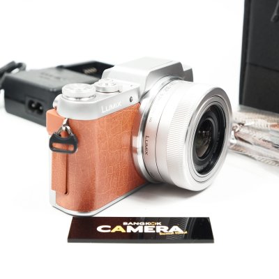 Lumix GF8