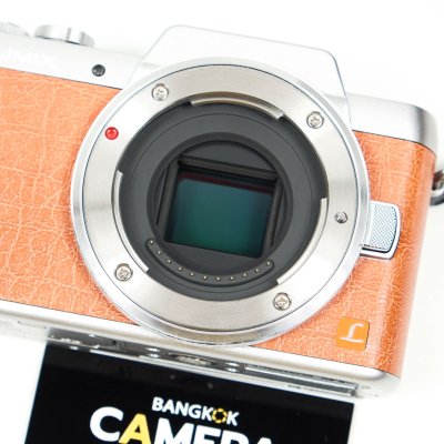 Lumix GF8