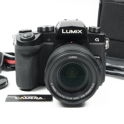 Lumix G95