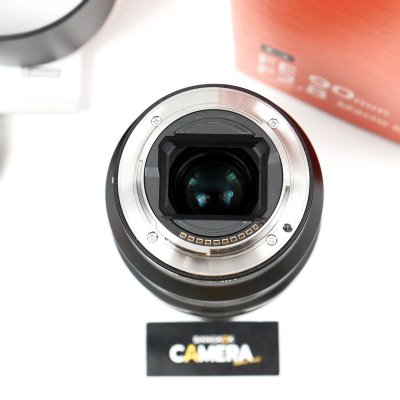 FE90mm F2.8 Macro G OSS