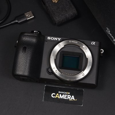 Sony A6600 Body