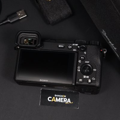 Sony A6600 Body