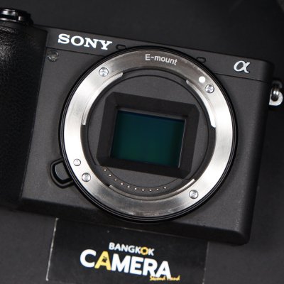 Sony A6600 Body
