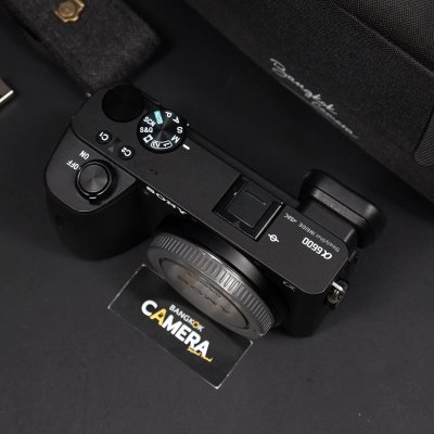 Sony A6600 Body