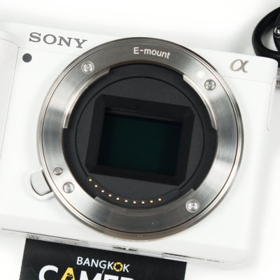 Sony ZVE10