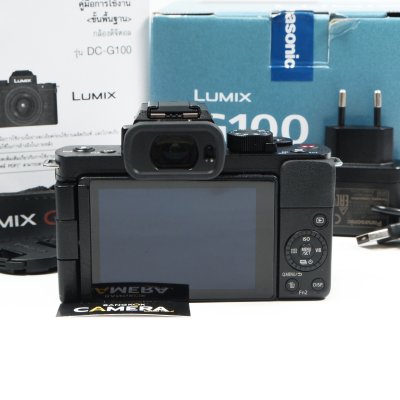 Lumix G100