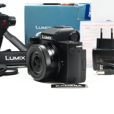 Lumix G100