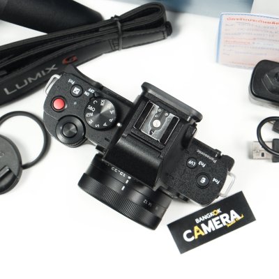 Lumix G100