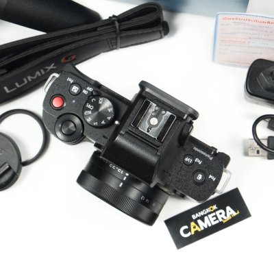 Lumix G100