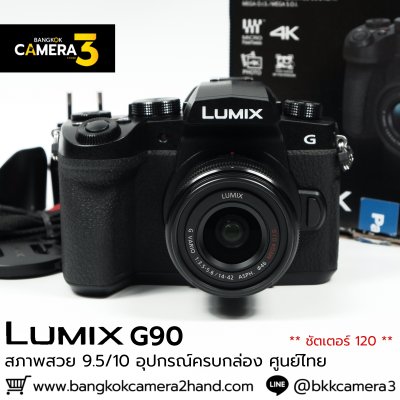 Lumix G90