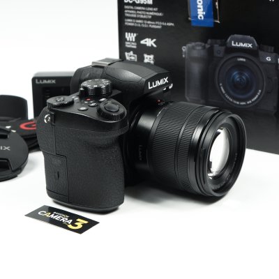 Lumix G95