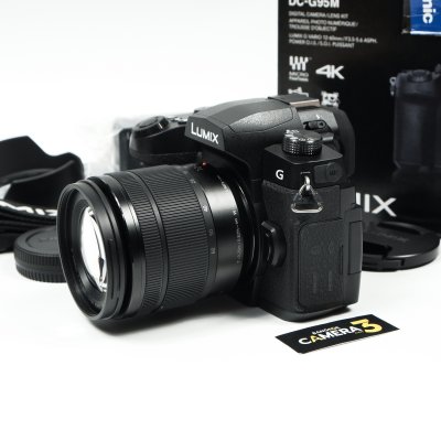 Lumix G95