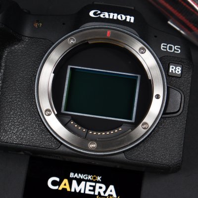 Canon EOS R8 Body