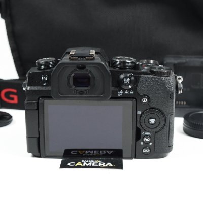 Lumix G95