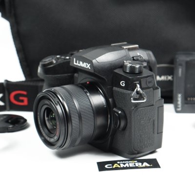 Lumix G95