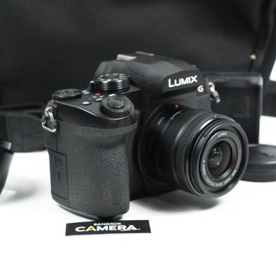 Lumix G95