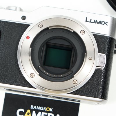 Lumix GF10