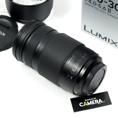 Lumix 100-300mm F4-5.6 II