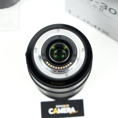Lumix 100-300mm F4-5.6 II