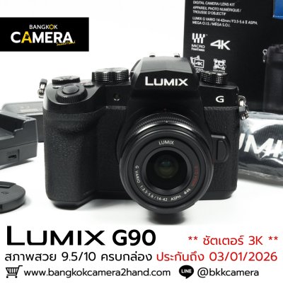Lumix G90