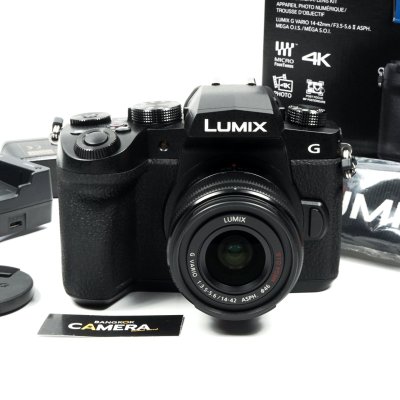 Lumix G90