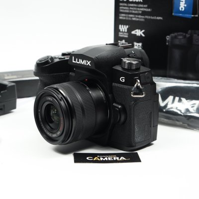 Lumix G90