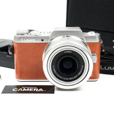 Lumix GF8