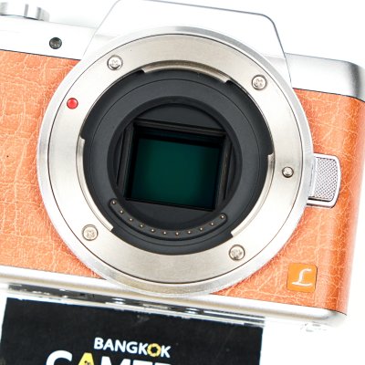 Lumix GF8