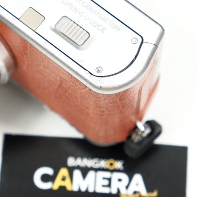 Lumix GF8