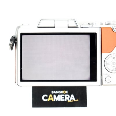 Lumix GF8
