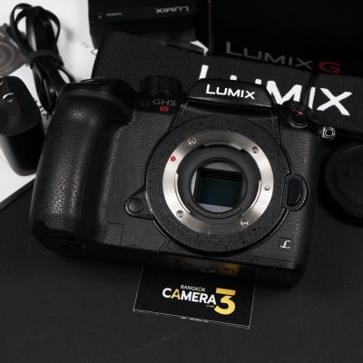 Lumix GH5s body