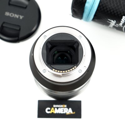FE16-35mm F4 ZA OSS