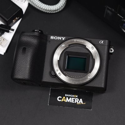 Sony A6600 Body