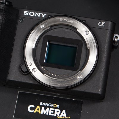 Sony A6600 Body