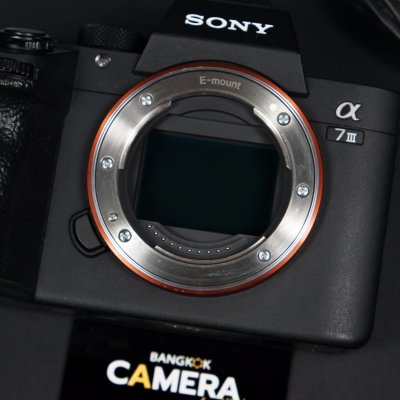 Sony A7III Body