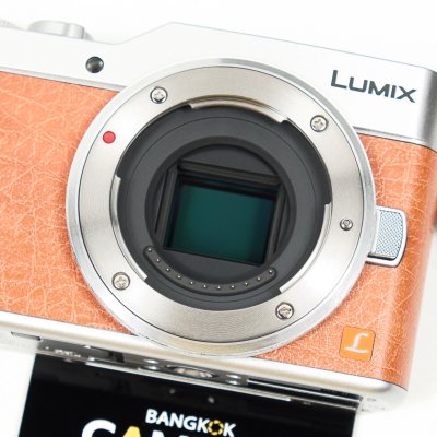 Lumix GF9