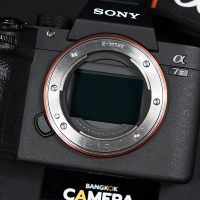 Sony A7III Body